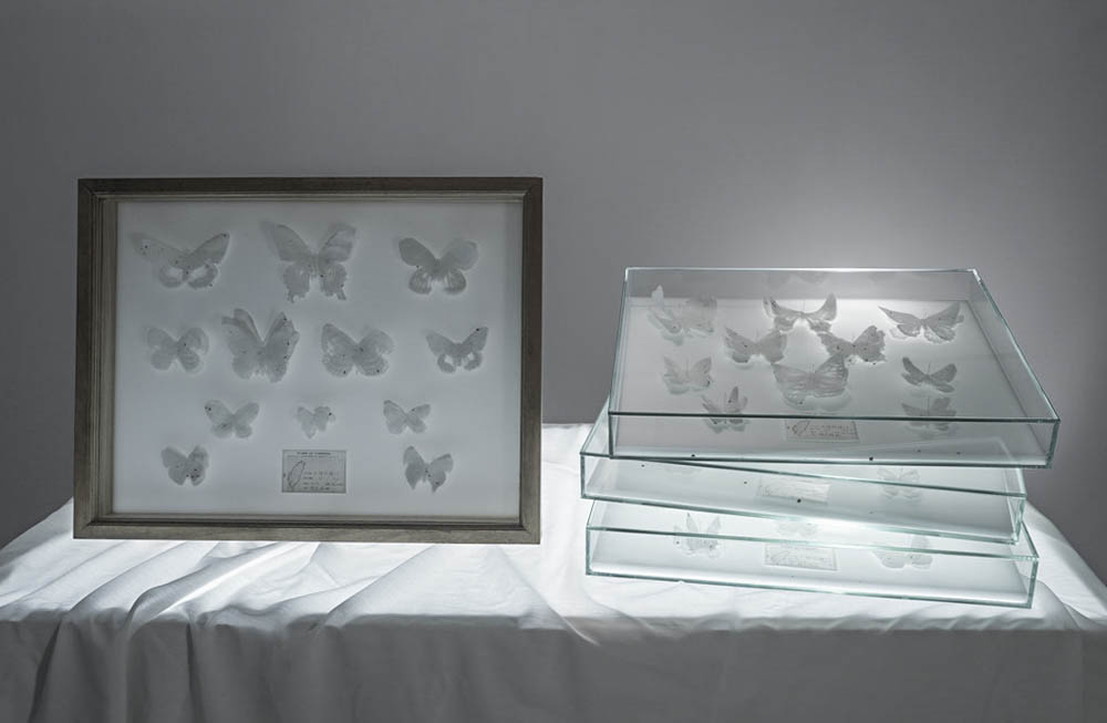 Eternal Flight fig.1~4