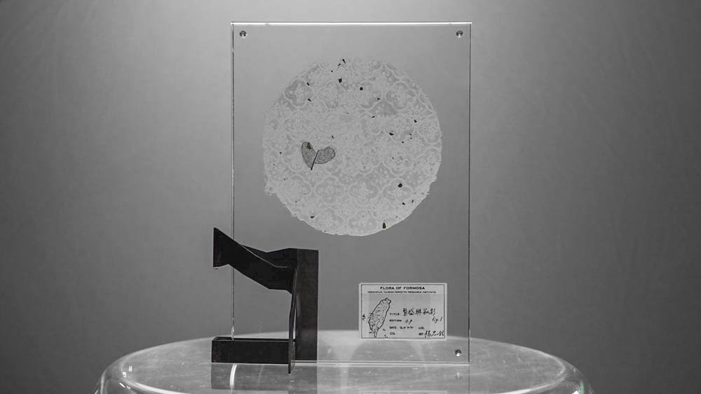 Season of Plenty fig.1