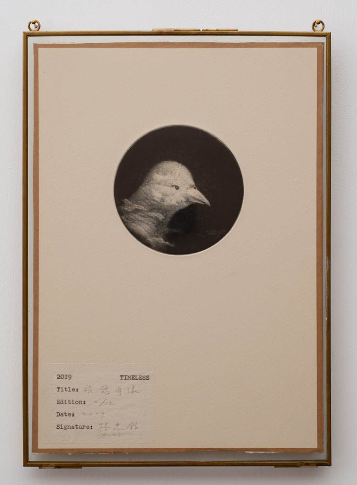 Portrait of the Passenger Pigeon