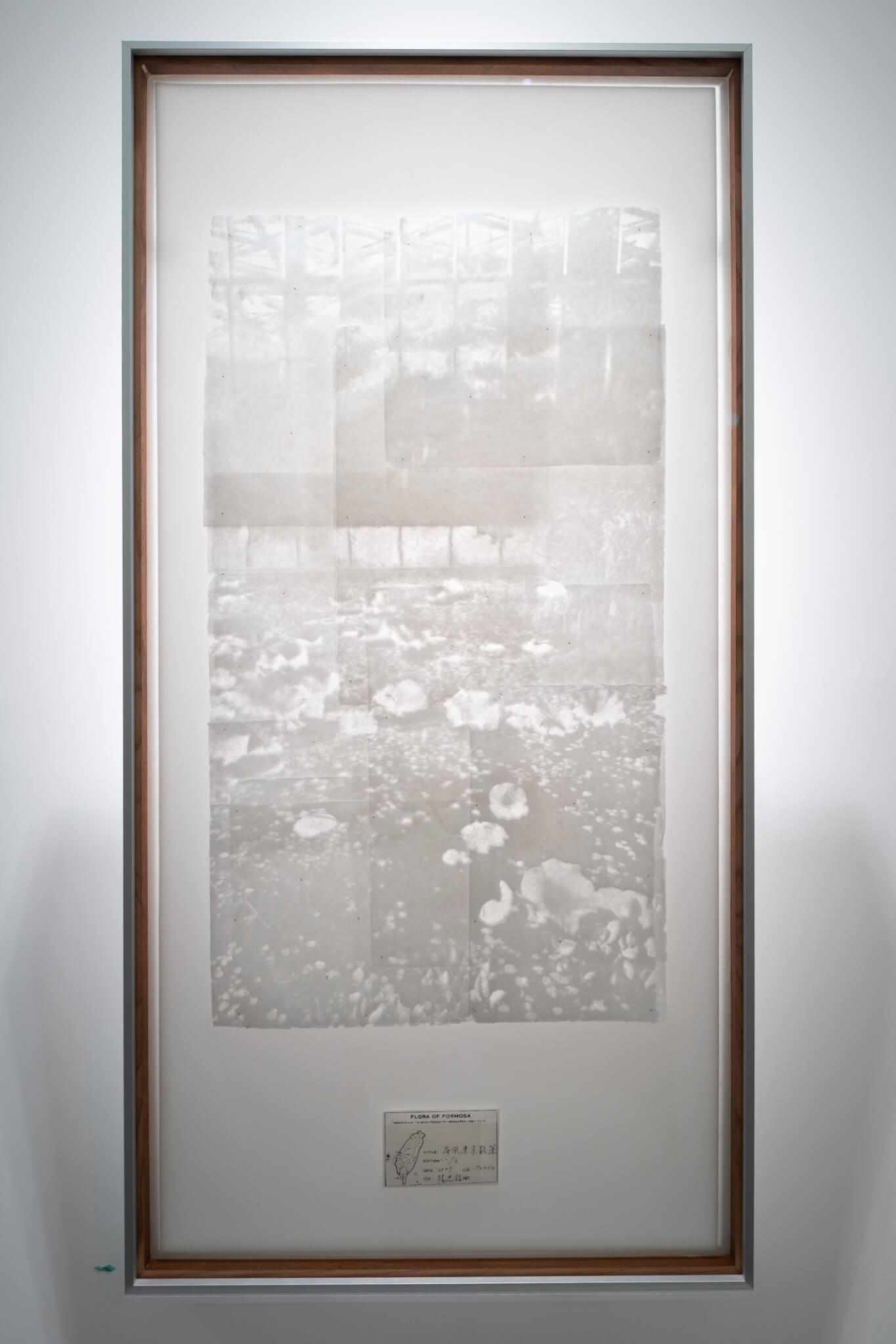 Summer Tokyo Wandering